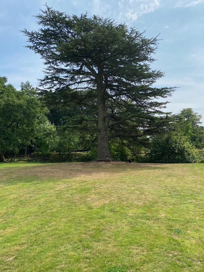 Coundon Lodge Coventry Eksteriør bilde