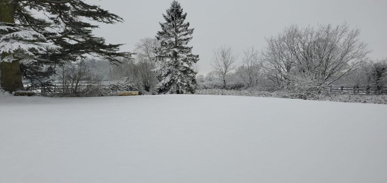 Coundon Lodge Coventry Eksteriør bilde