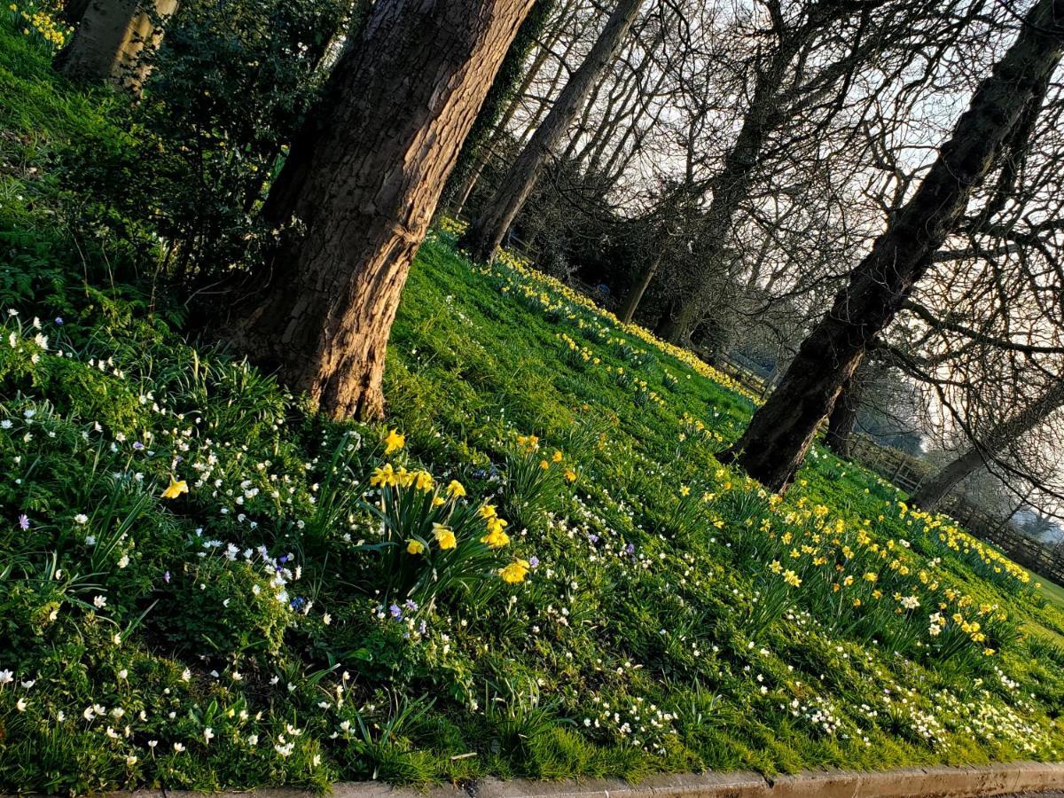 Coundon Lodge Coventry Eksteriør bilde