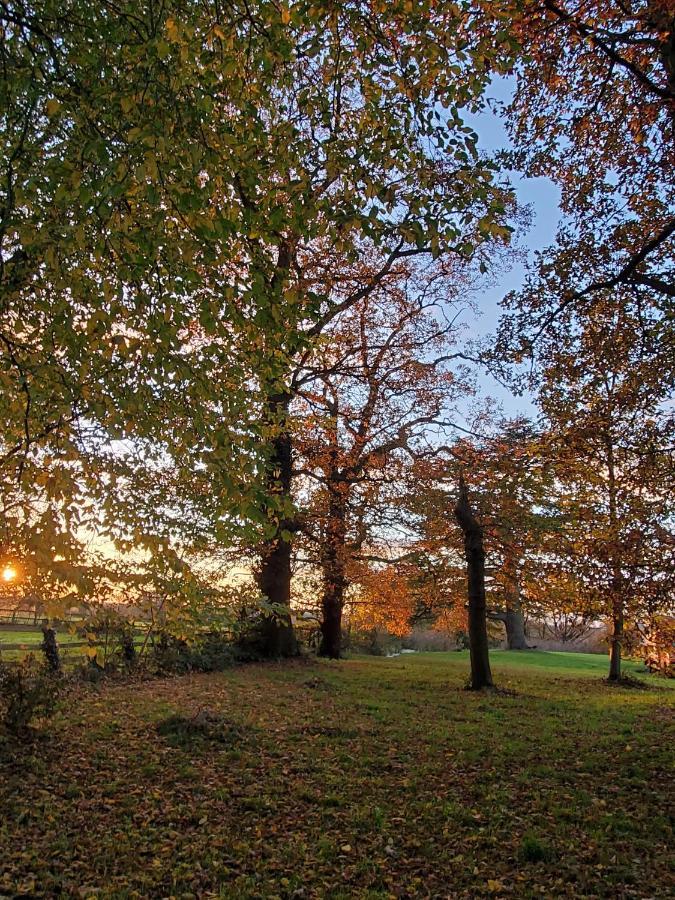 Coundon Lodge Coventry Eksteriør bilde