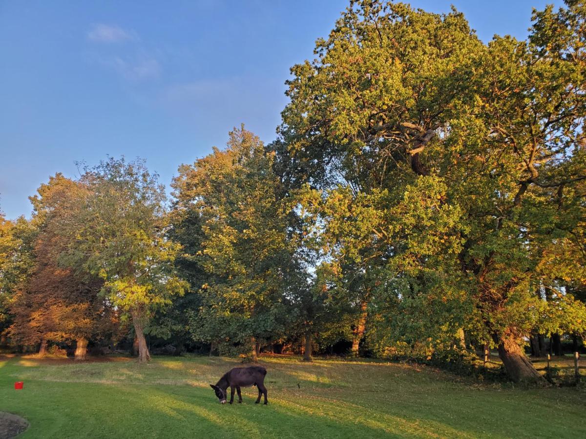 Coundon Lodge Coventry Eksteriør bilde